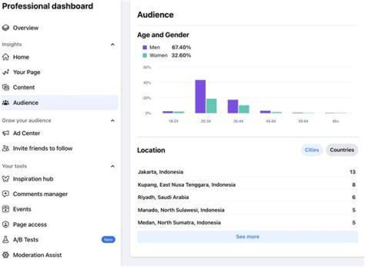 Adult anime viewer audience and user types