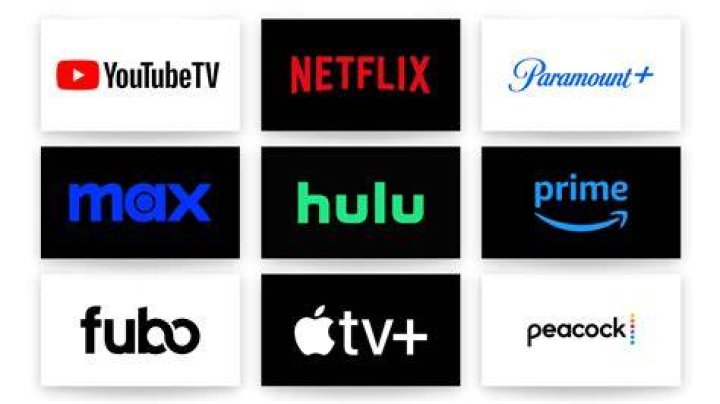 Adult video search and streaming options