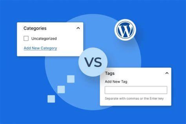 Categories tags collections website structure