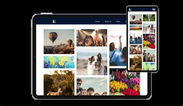 Process of curating and selecting images for a specific niche gallery