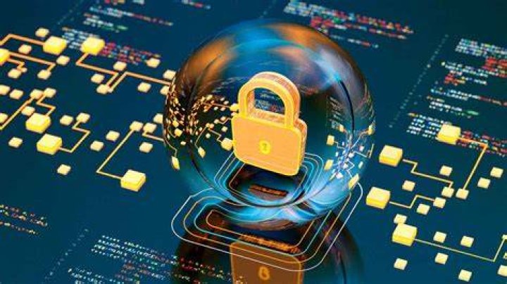 Direitos de imagem e privacidade no conteúdo adulto brasileiro