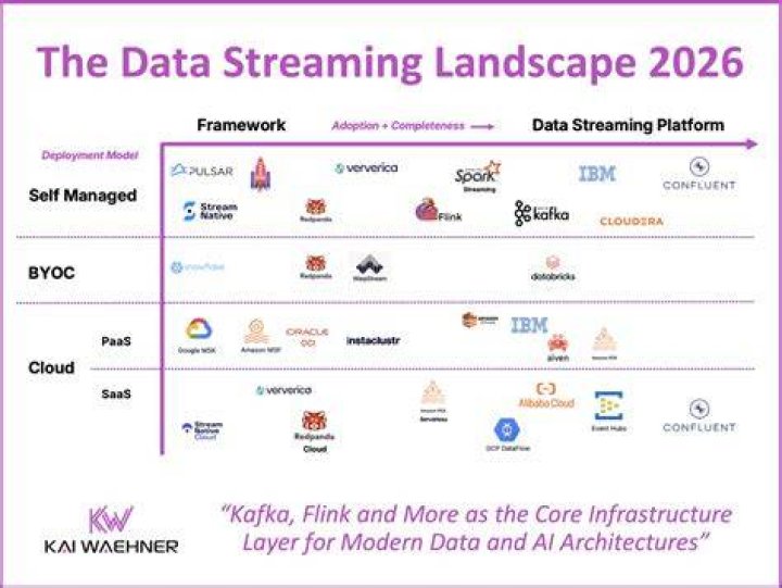 Hentai streaming platforms competitive landscape