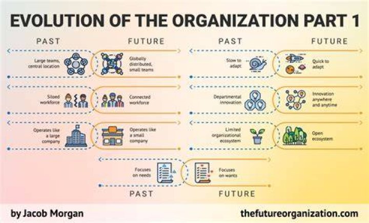 Digital organization system for evolving image galleries and archives