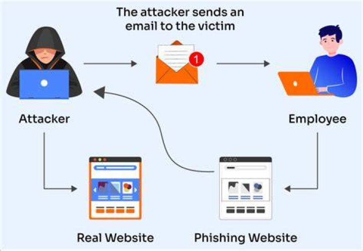 Lookalike domain phishing website risk