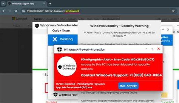 Malware risk and browser security on adult websites