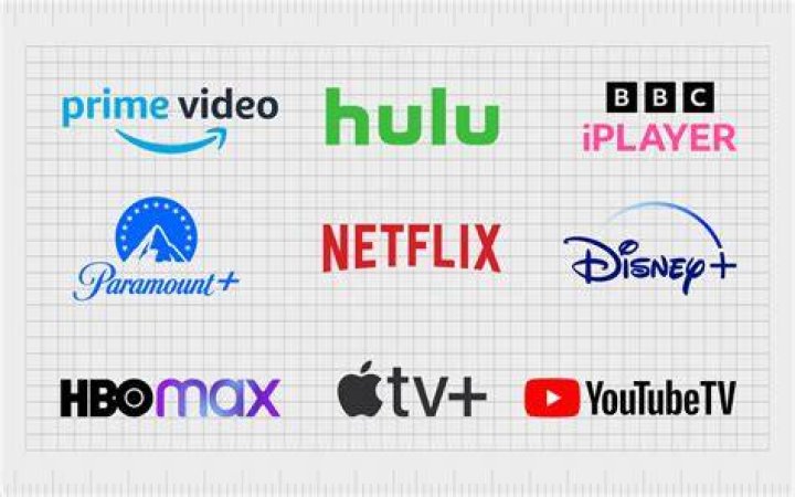 Niche adult content streaming platform