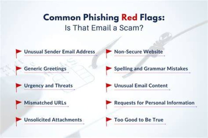 Online scam red flags and browser security