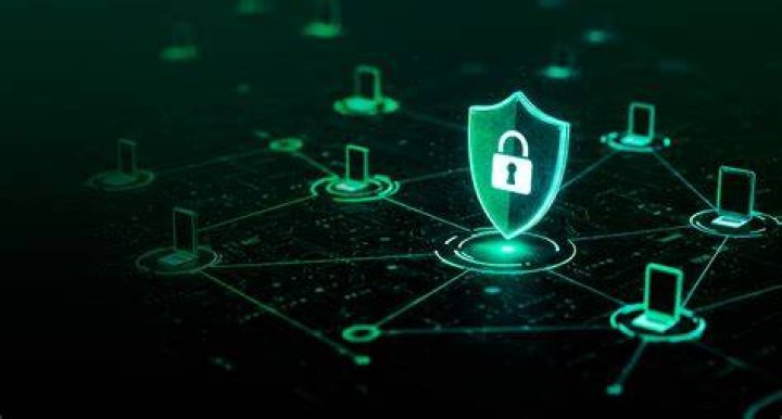Seguran&ccedil;a e privacidade ao buscar an&uacute;ncios adultos na internet no Brasil