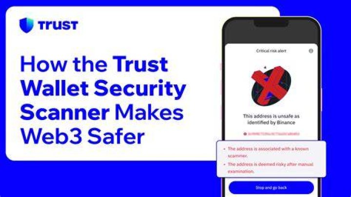Website security trust score scanner